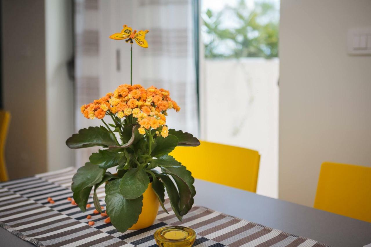 Apartments In 자오스트로그 외부 사진